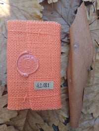 Image 5 of MOONSTONE "AGE OF MYCOLOGY"