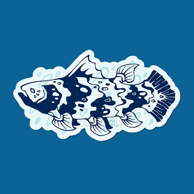 Coelacanth Sticker