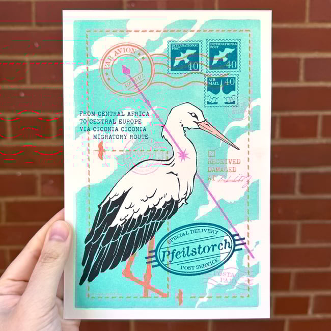 Pfeilstorch (Riso Print)