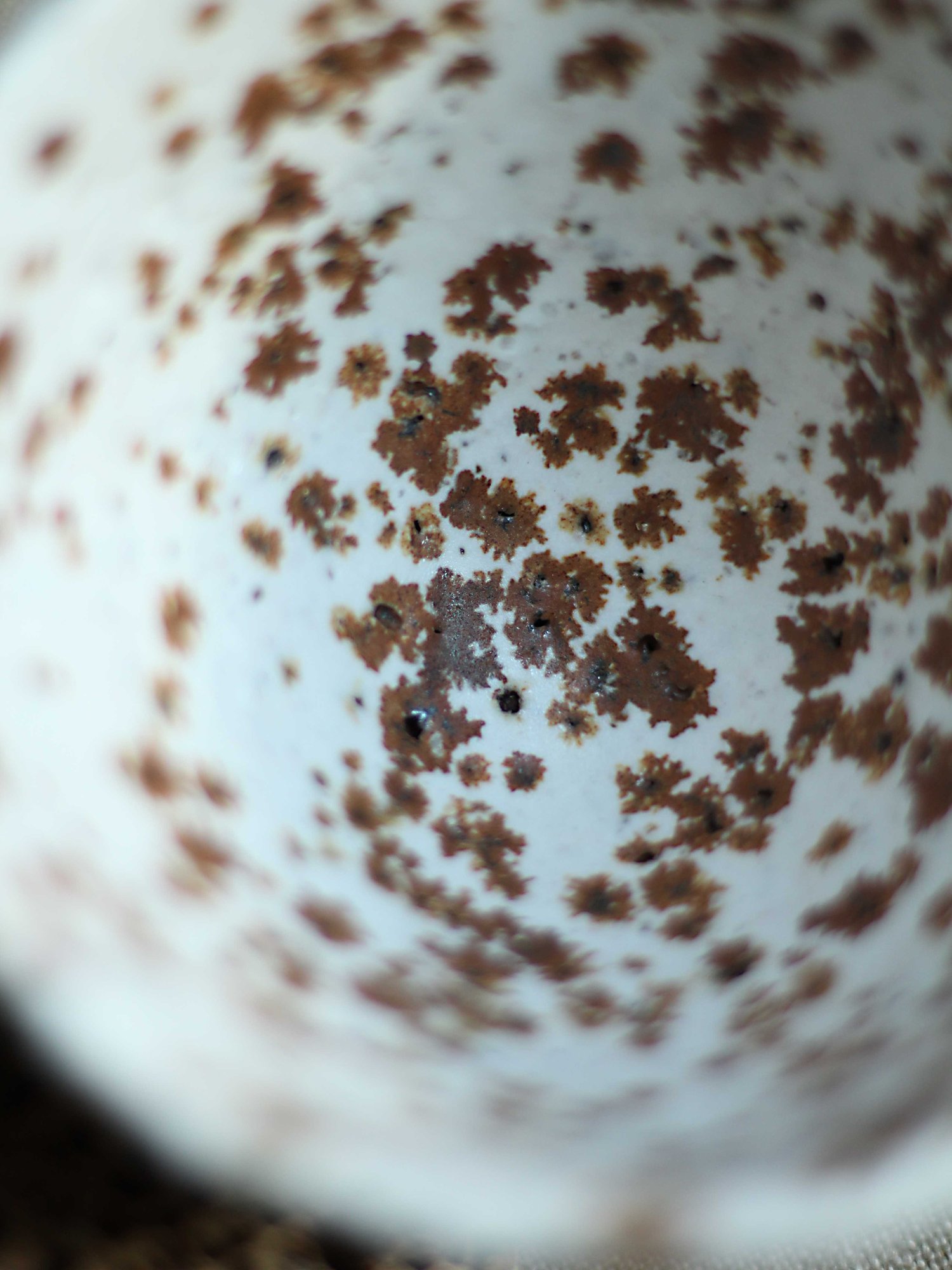 Image of Rust Mist Kurinuki 03