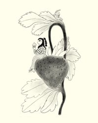 Image 2 of STRAWBERRY / Original drawing