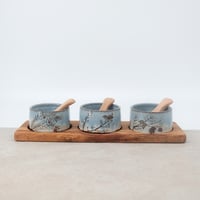 Image 11 of Winter Wren Condiment Set