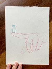 Image 2 of Ensayo Handtober Búho