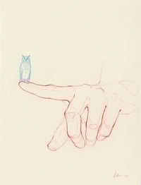 Image 1 of Ensayo Handtober Búho