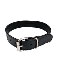 Image 2 of O-Ring Studded Collar