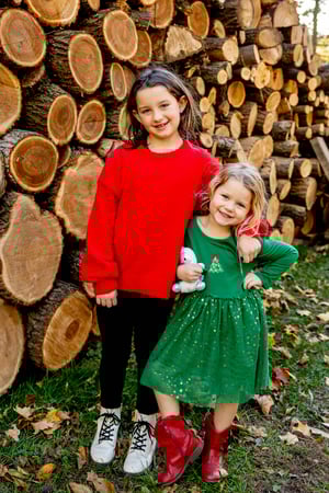 Image of 2025 Christmas Log Pile Minis
