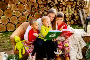 Image of 2025 Christmas Log Pile Minis