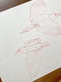 Image 3 of Garzas NYTimes