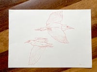 Image 2 of Garzas NYTimes