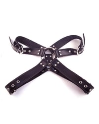Image 1 of Chest Harness