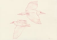 Image 1 of Garzas NYTimes