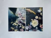 Botanical Mirror Pond