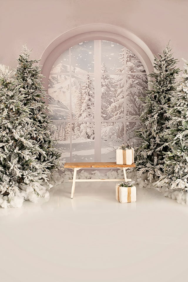 Image of Holiday Mini Session 2025