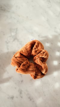 Image 1 of Chouchou velours cannelle