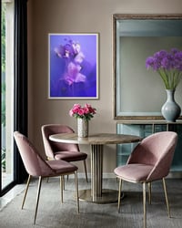 Image 2 of Alstroemeria Twilight Veil Fine Art Print