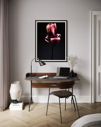 Image 4 of Tulip Nocturne Fine Art Print