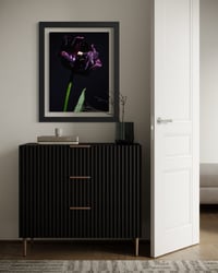Image 3 of Tulip Black Beauty Fine Art Print 