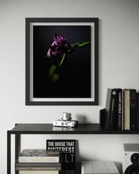 Image 2 of Tulips Last Dance Fine Art Print