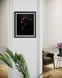 Image 3 of Tulips Last Dance Fine Art Print