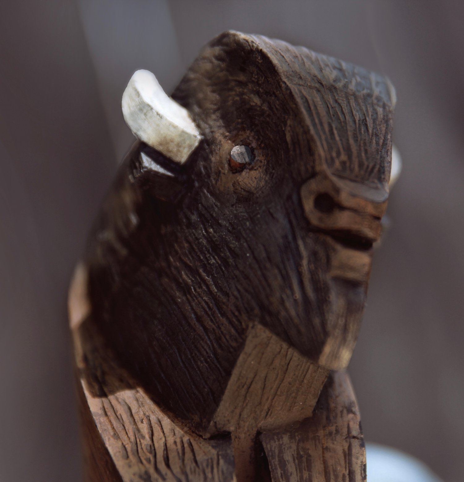 Image of NEW Whittle Bison