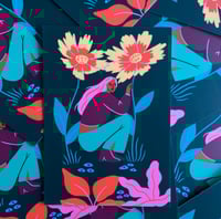 Image 2 of Carte Postale - Fleurs de coreopsis