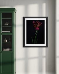 Image 2 of Tulip Requiem Fine Art Print