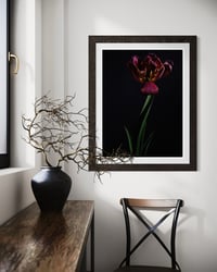 Image 4 of Tulip Requiem Fine Art Print