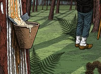Image 3 of Affiche LES LANDES#1