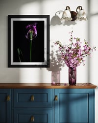 Image 2 of Elegy in Violet Fine Art Print