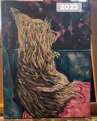 Pet portrait example 