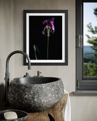 Image 3 of Elegy in Violet Fine Art Print