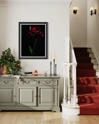 Image 3 of Crimson Shadow Fine Art Print