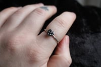 Image 2 of  Mole teeth ring