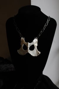 Image 3 of Dead Good Fox pelvis bone necklace 