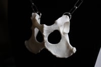 Image 4 of Dead Good Fox pelvis bone necklace 