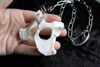 Image 6 of Dead Good Fox pelvis bone necklace 