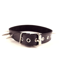Image 2 of Spiked Collar