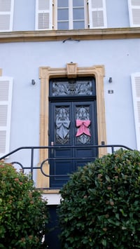 Image 3 of Maxi bow vichy rouge