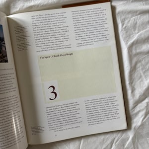 Image of Domino's Mansion: Thomas Monaghan, Gunner Birkerts And The Spirit Of Frank Lloyd Wright