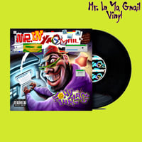 Image 1 of Mr. In Ya Gmail Vinyl