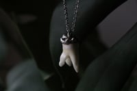 Image 3 of Dead good tooth amulet 