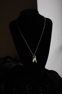 Image 5 of Dead good tooth amulet 