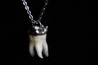 Image 1 of Dead good tooth amulet 