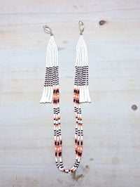 Image 1 of White/brown/orange dentaliums 