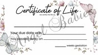 Certificate of Life 
