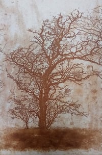 Image 2 of "Weathered" Greetings Card