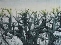 Image 2 of "Winter Hedgerow" Greetings Card