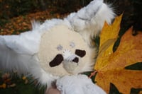 Image 3 of WILBUR WOLF