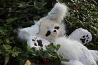 Image 5 of WILBUR WOLF