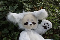 Image 13 of WILBUR WOLF